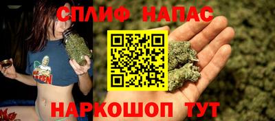 МДПВ Канаш