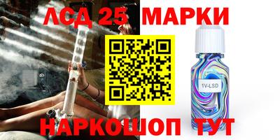 амф Камышлов