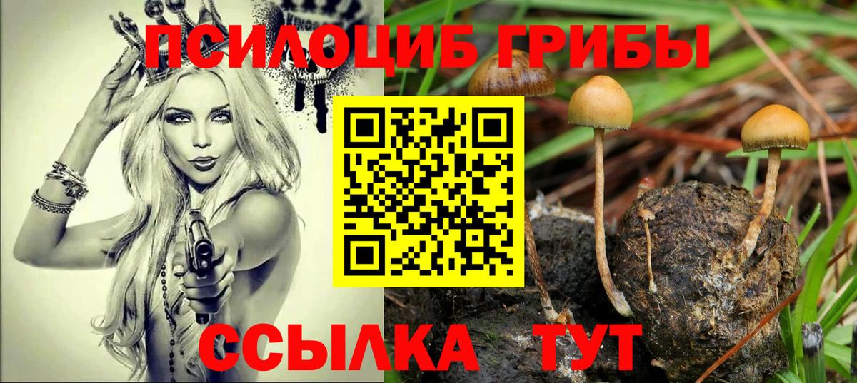 Псилоцибиновые грибы прущие грибы Южноуральск